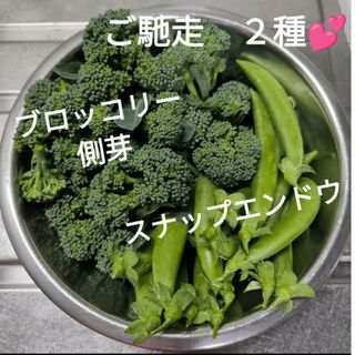 ブロッコリー側芽　スナップエンドウ　合計200g以上〜ネコポスsize！(野菜)
