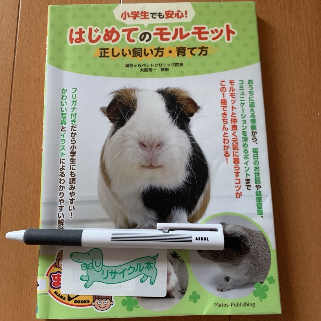 小学生でも安心！はじめてのモルモット正しい飼い方・育て方 エンタメ/ホビーの本(住まい/暮らし/子育て)の商品写真