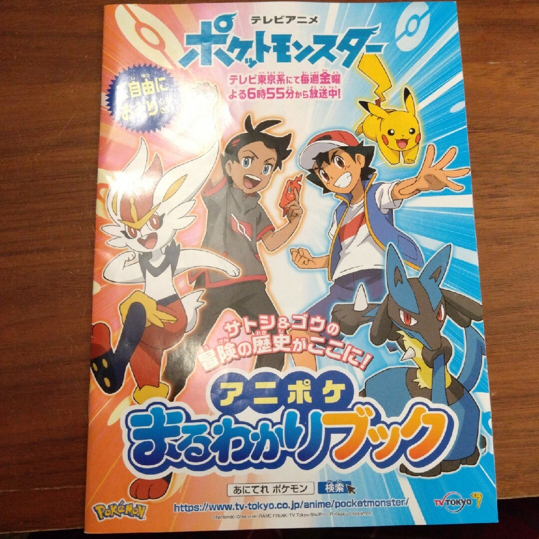 ポケモン(ポケモン)のテレビアニメポケットモンスター　アニポケまるわかりブック　非売品　シール エンタメ/ホビーのコレクション(印刷物)の商品写真