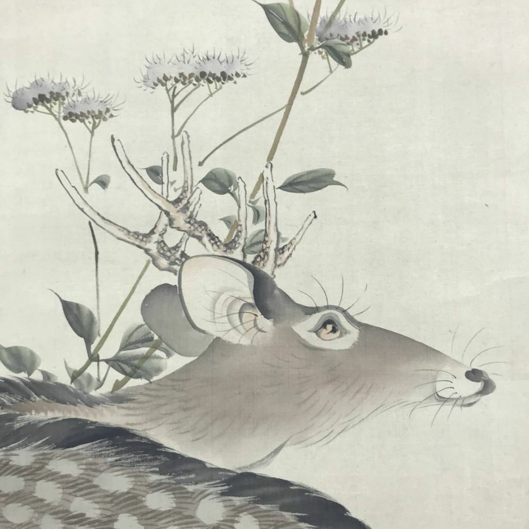 真作/西山芳園/草花鹿図/鹿図/花鳥図/掛軸☆宝船☆AD-494の通販 真作/西山芳園/草花鹿図/鹿図/花鳥図/掛軸☆宝船☆AD-494の通販
