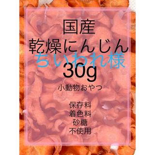 ちいわれ様　国産乾燥にんじん30g  りんご30g小動物おやつ用　ペットフード(ペットフード)