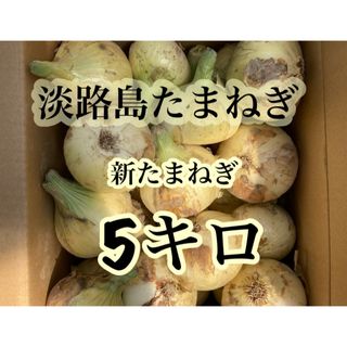 淡路島たまねぎ　新たまねぎ　秀品5キロ(野菜)