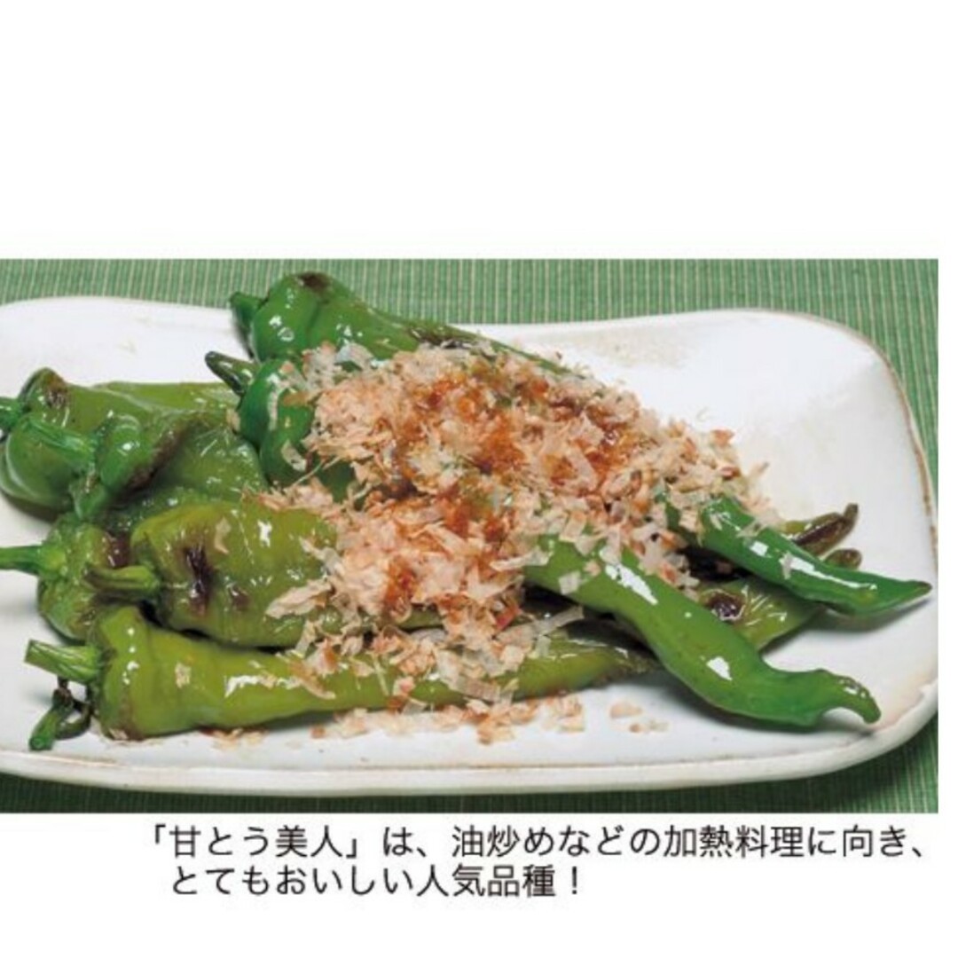 甘い とうがらし 甘とう美人 種10粒 食品/飲料/酒の食品(野菜)の商品写真