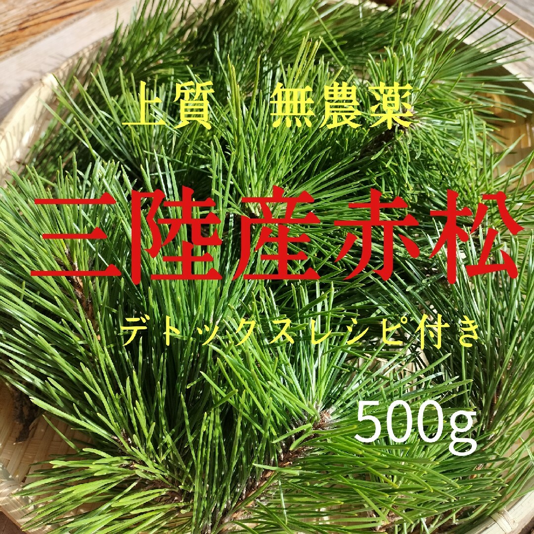 松の葉500g   上質赤松新芽　デトックスレシピ付き 食品/飲料/酒の食品(野菜)の商品写真