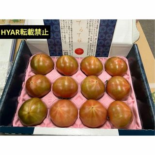 てるて姫 高級トマト 青空レストラン 紹介 糖度抜群 野菜(野菜)