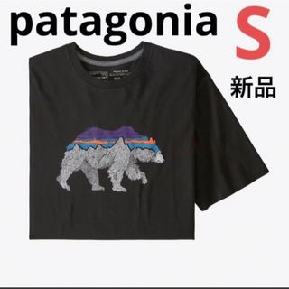 パタゴニア(patagonia)の⭐️人気⭐️新品！patagonia バックフォーグッドオーガニックTシャツ(Tシャツ/カットソー(半袖/袖なし))