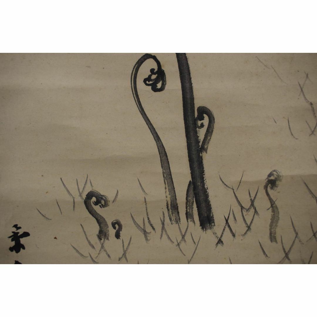 真作】今尾景年/わらび図/ワラビ図/蕨/掛軸☆宝船☆Y-190 真作】今尾景年/わらび図/ワラビ図/蕨/掛軸☆宝船☆Y-190