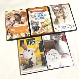 ねことの暮らし方DVD 5枚セット(猫)