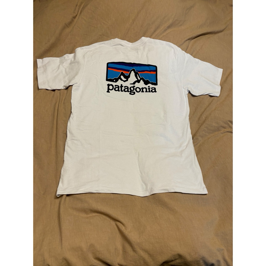 patagonia(パタゴニア)のレア柄パタゴニアティシャツ レディースのトップス(Tシャツ(半袖/袖なし))の商品写真