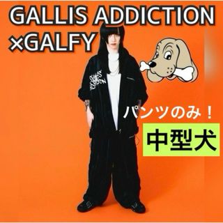 ガルフィー(GALFY)のGA × GALFY コラボ　セットアップ【パンツのみ】中型犬(その他)