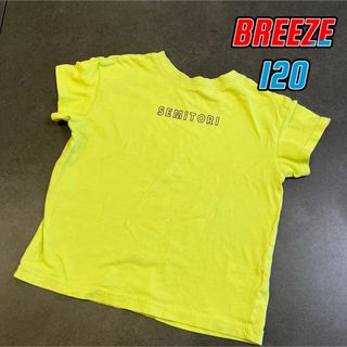 ブリーズ(BREEZE)の120 BREEZE  グリーン　セミ　Tシャツ(Tシャツ/カットソー)