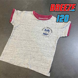 ブリーズ(BREEZE)の120 BREEZE ミルク　Tシャツ(Tシャツ/カットソー)