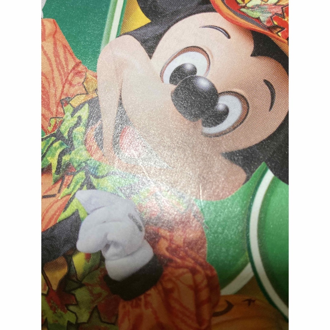 Disney(ディズニー)のディズニーリゾート　パンフレット エンタメ/ホビーのコレクション(印刷物)の商品写真