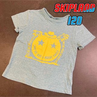 120 スキップランド　Tシャツ