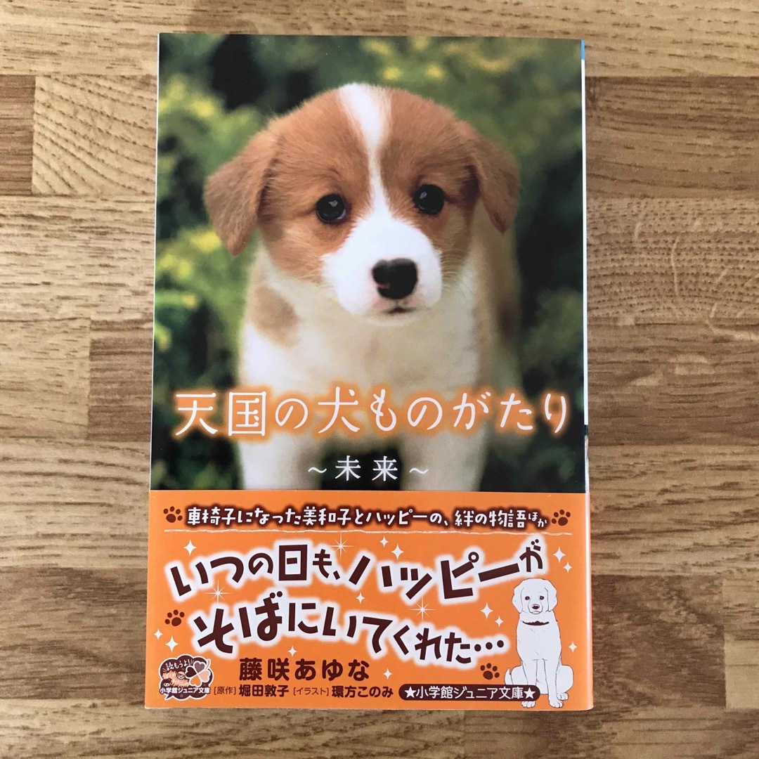 小学館(ショウガクカン)の天国の犬ものがたり〜未来〜 藤咲あゆな 原作・堀田敦子 小学館ジュニア文庫 ○ エンタメ/ホビーの本(文学/小説)の商品写真