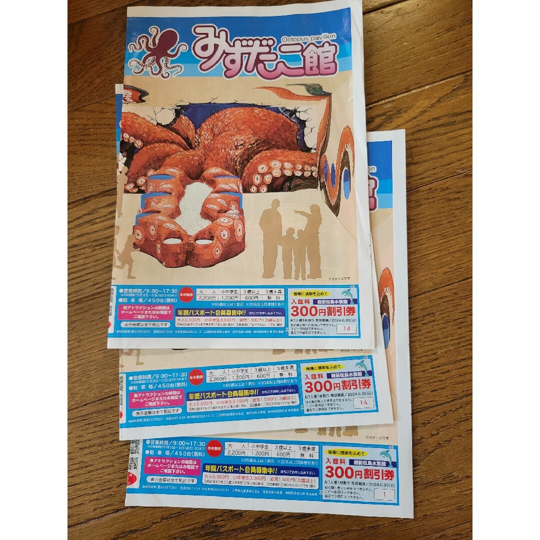 越前松島水族館　割引券300円オフ　3枚 チケットの施設利用券(水族館)の商品写真
