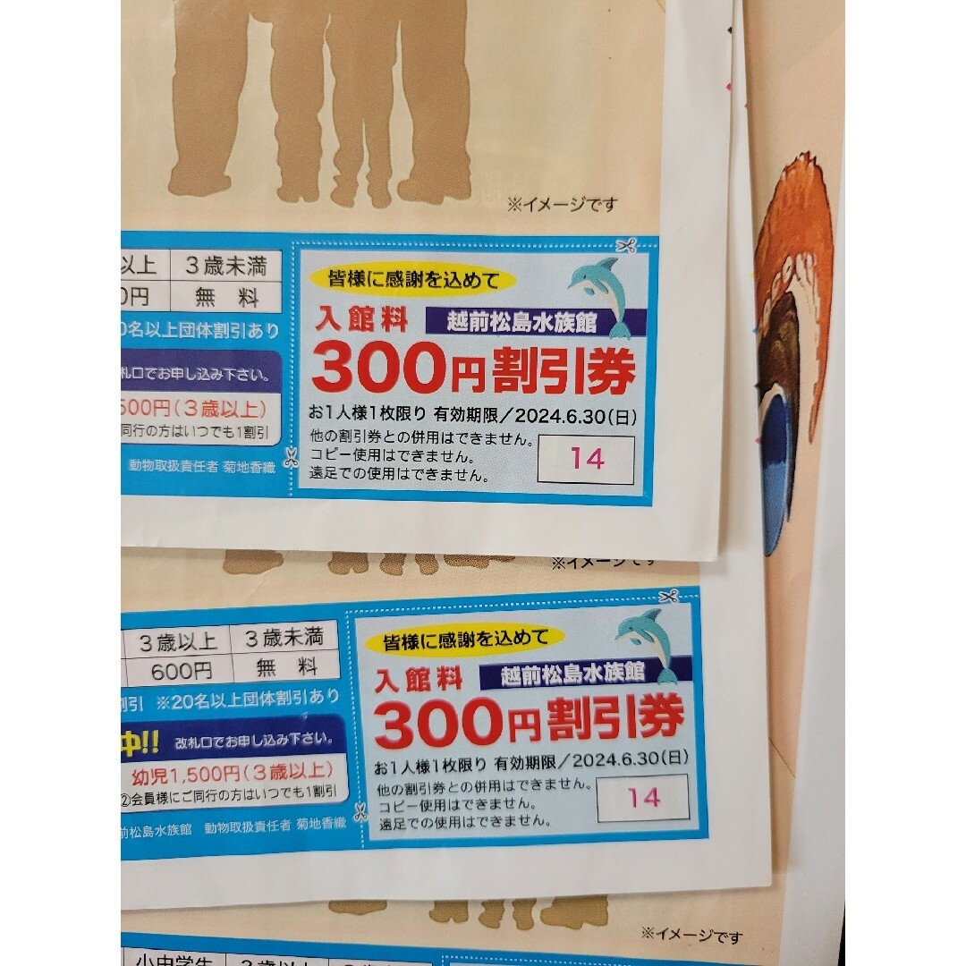 越前松島水族館　割引券300円オフ　3枚 チケットの施設利用券(水族館)の商品写真