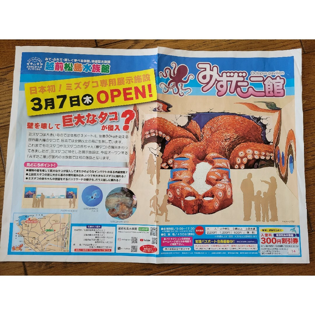 越前松島水族館　割引券300円オフ　3枚 チケットの施設利用券(水族館)の商品写真