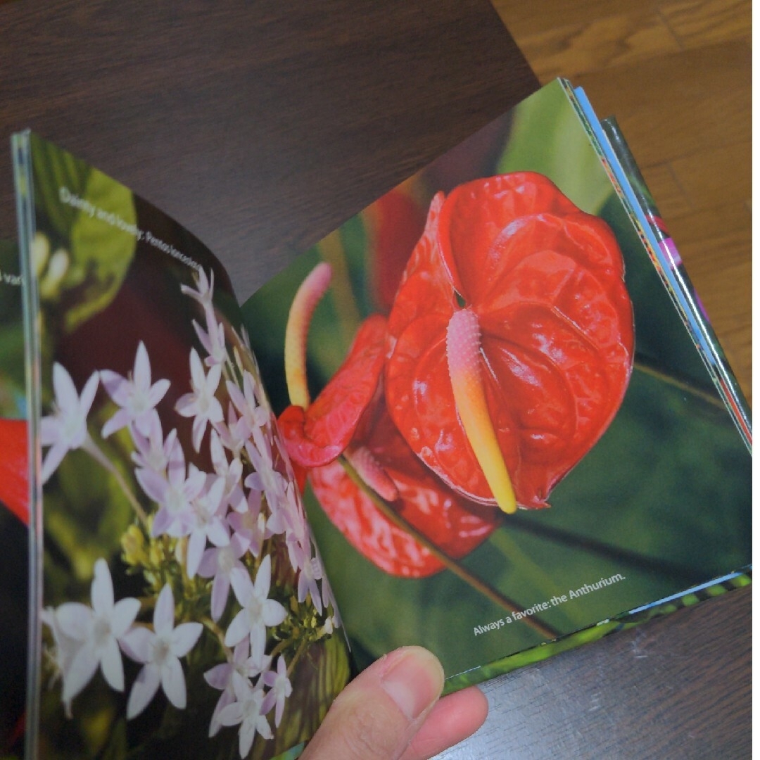 ハワイ　花のミニ図録３冊セット エンタメ/ホビーの本(趣味/スポーツ/実用)の商品写真