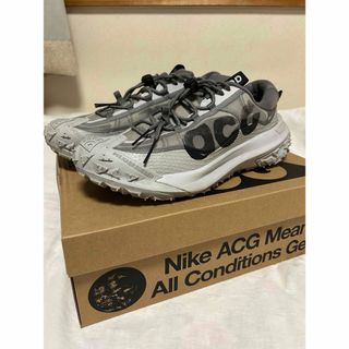 ナイキ(NIKE)のACG MOUNTAIN FLY 2 LOW(スニーカー)