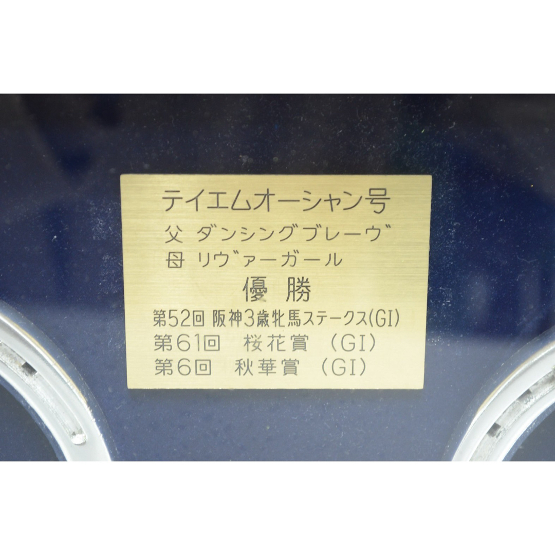 実物 テイエムオーシャン 蹄鉄 G1 桜花賞 優勝馬 額入り 競馬 JRA 額装 スポーツ/アウトドアのスポーツ/アウトドア その他(その他)の商品写真