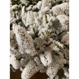 ドライフラワー 花材 スターチス ジュエリーホワイト 20〜25cm(ドライフラワー)