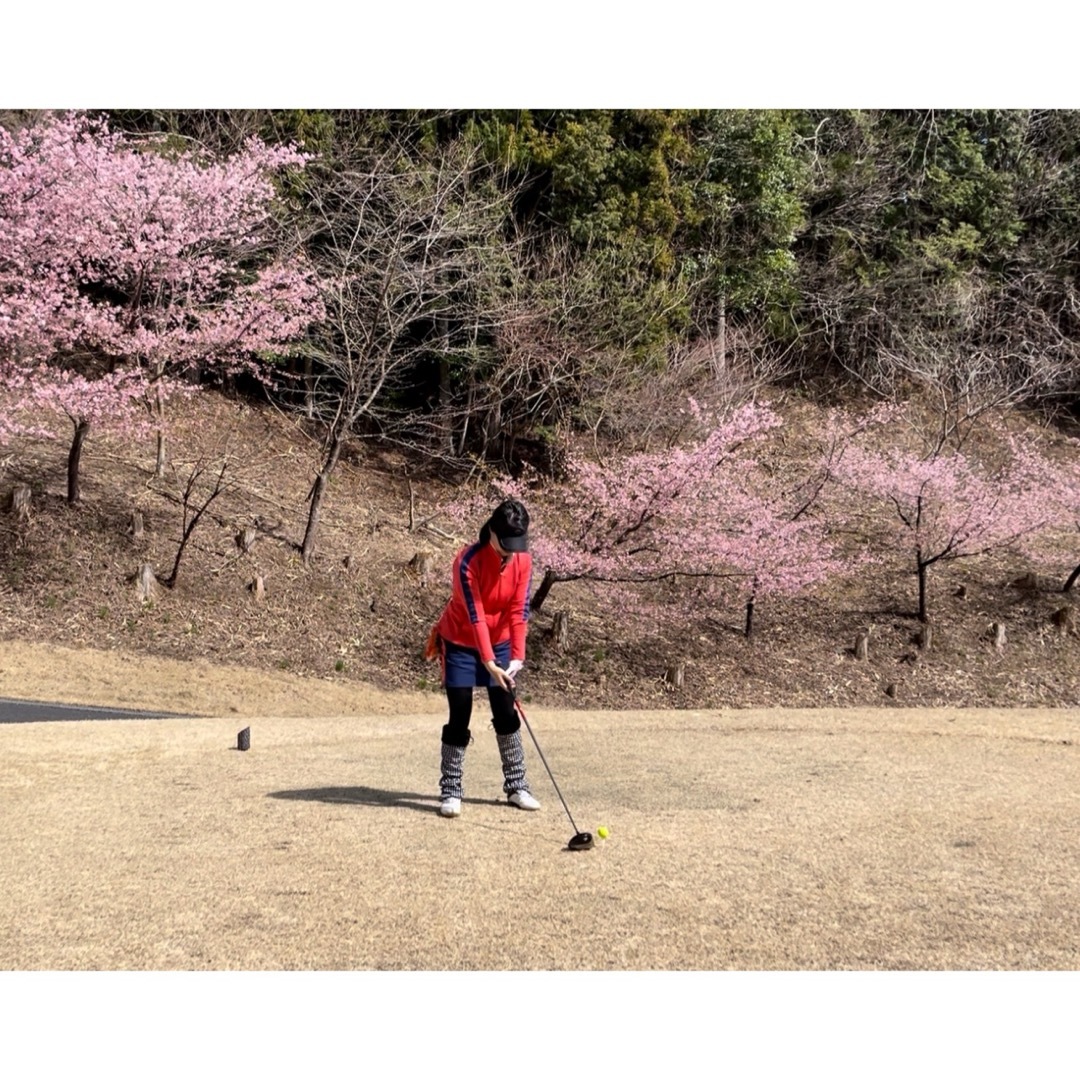 DESCENTE(デサント)のデサント　ゴルフ　ウエア　ジャケット　スカート　セットアップ　2点 スポーツ/アウトドアのゴルフ(ウエア)の商品写真