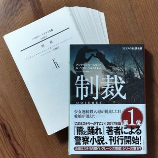 ！裁断済み！　制裁(その他)