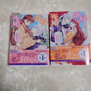 離縁されました。再婚しました。仮面侯爵の初恋 上下巻(その他)