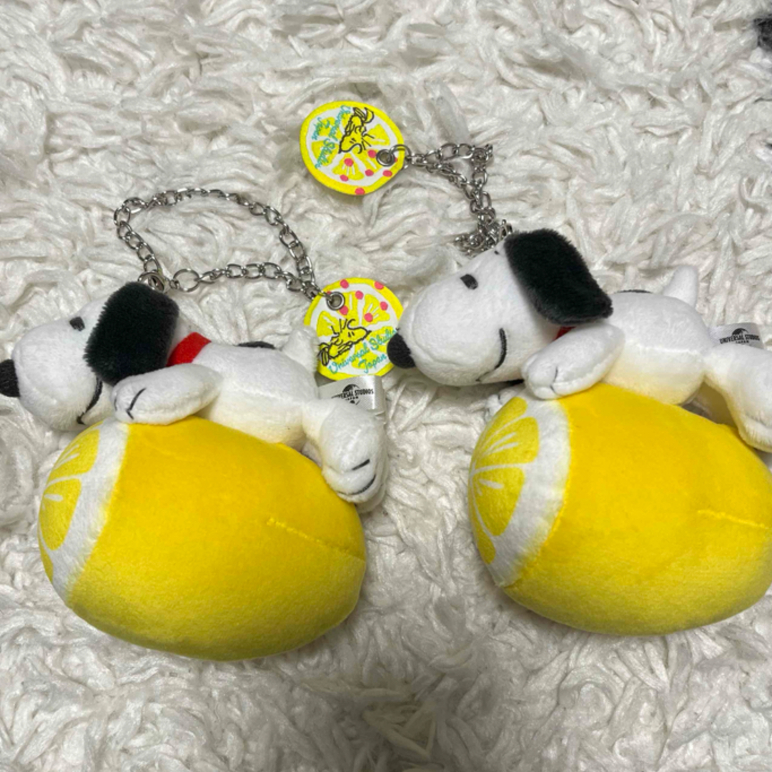 USJ(ユニバーサルスタジオジャパン)のUSJ🌏SNOOPYぬいぐるみキーチェーン　もちもち エンタメ/ホビーのおもちゃ/ぬいぐるみ(キャラクターグッズ)の商品写真