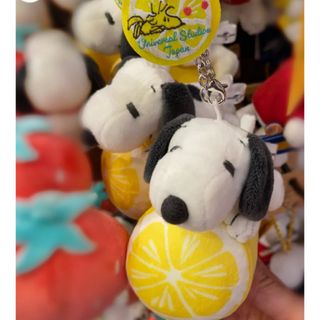 ユニバーサルスタジオジャパン(USJ)のUSJ🌏SNOOPYぬいぐるみキーチェーン　もちもち(キャラクターグッズ)