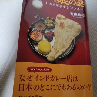 カレー移民の謎(文学/小説)