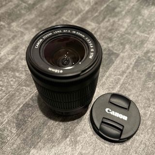 Canon - Canon 標準ズームレンズ EF-S18-55mm IS STM