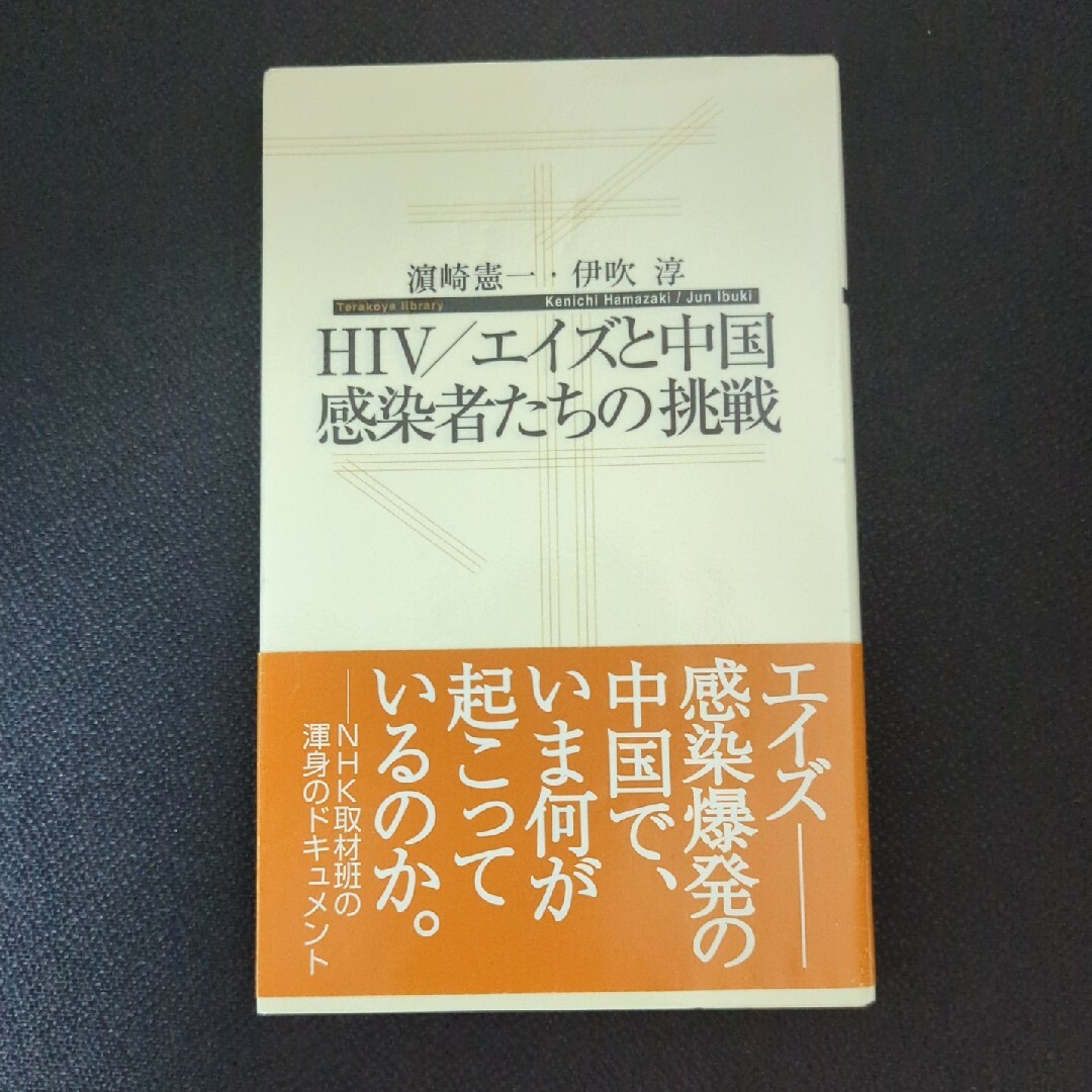 ＨＩＶ／エイズと中国感染者たちの挑戦 エンタメ/ホビーの本(その他)の商品写真