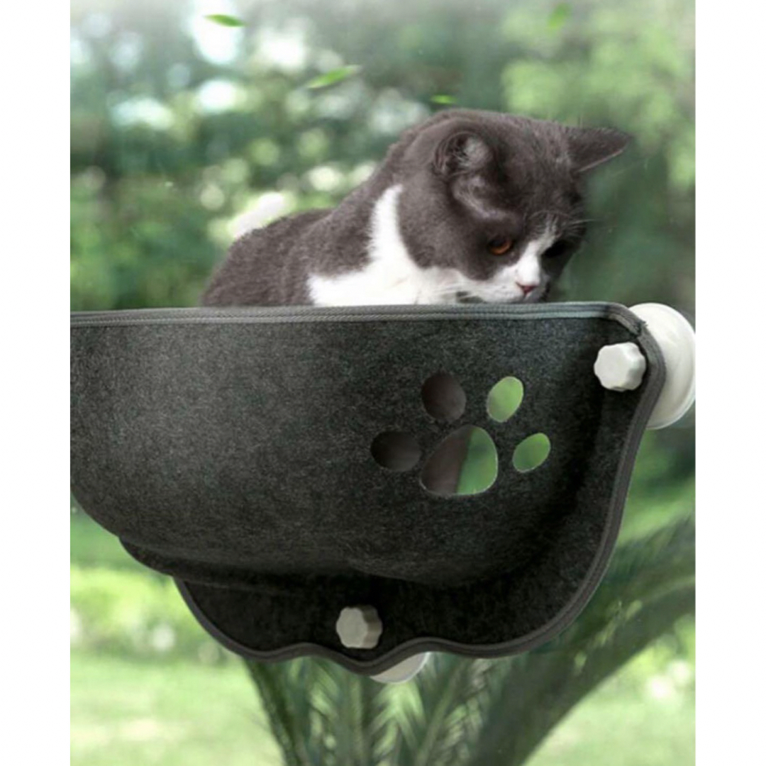 猫用　ウィンドウハンモック　ブラック　肉球窓付き その他のペット用品(猫)の商品写真