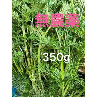 無農薬 人参の葉っぱ　にんじんの葉っぱ　人参葉っぱ　葉　350g(野菜)