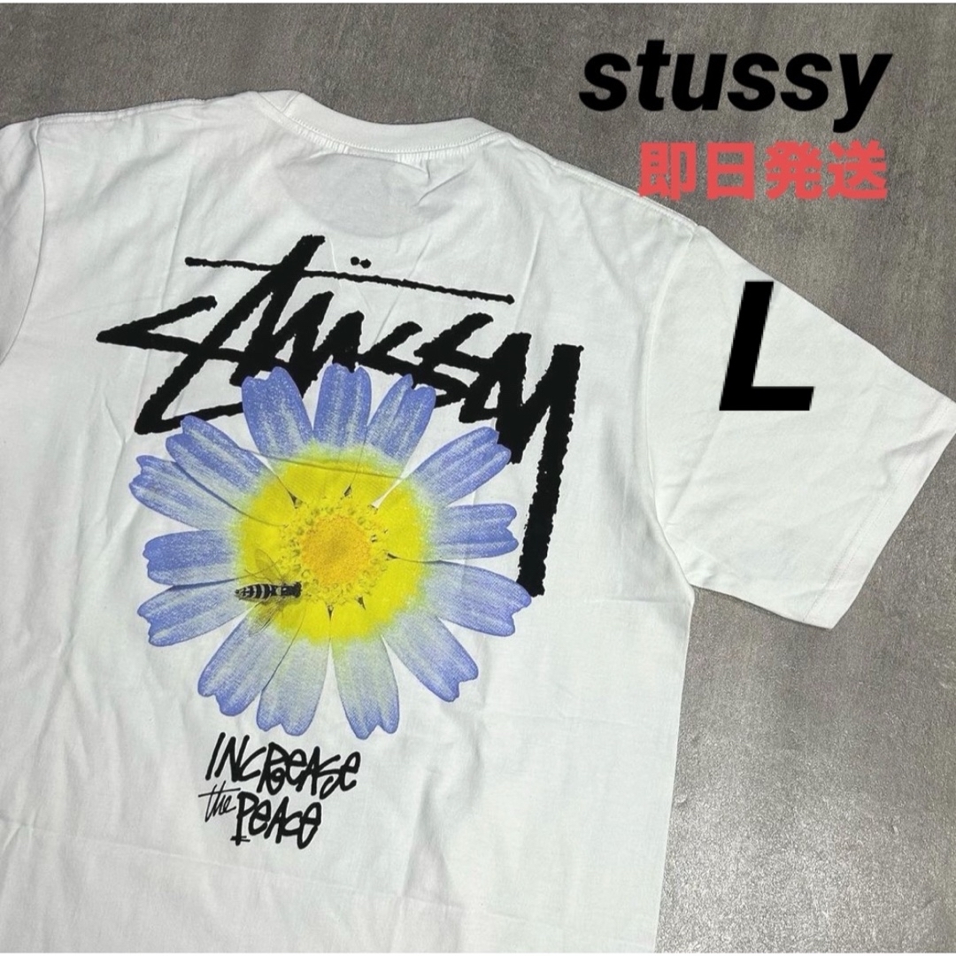 STUSSY(ステューシー)のstussy メンズ レディース 白 半袖 Tシャツ ITP FLOWER L メンズのトップス(Tシャツ/カットソー(半袖/袖なし))の商品写真