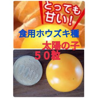 食用ほおずき種(野菜)