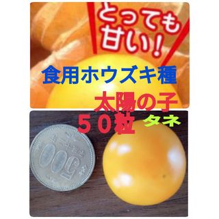 食用ほおずき種　タネの出品(野菜)