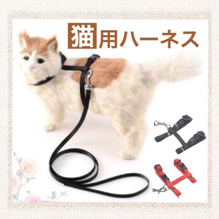 【未使用品】猫用ハーネス リード セット 首輪 簡単装着 ペット(猫)