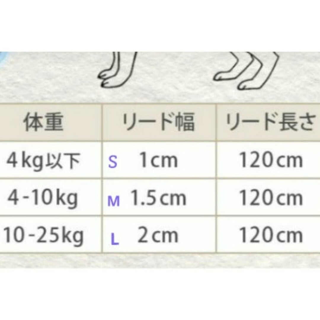 新品未使用☆リード ハンドメイドのペット(リード/首輪)の商品写真