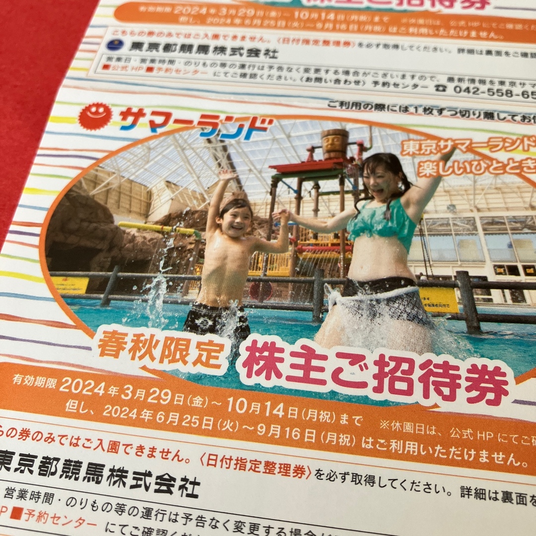 東京都競馬　株主優待　東京サマーランド　優待　8枚　プール　無料　招待 チケットの施設利用券(遊園地/テーマパーク)の商品写真