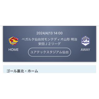 ベガルタ仙台VSモンテディオ山形　４／13(サッカー)