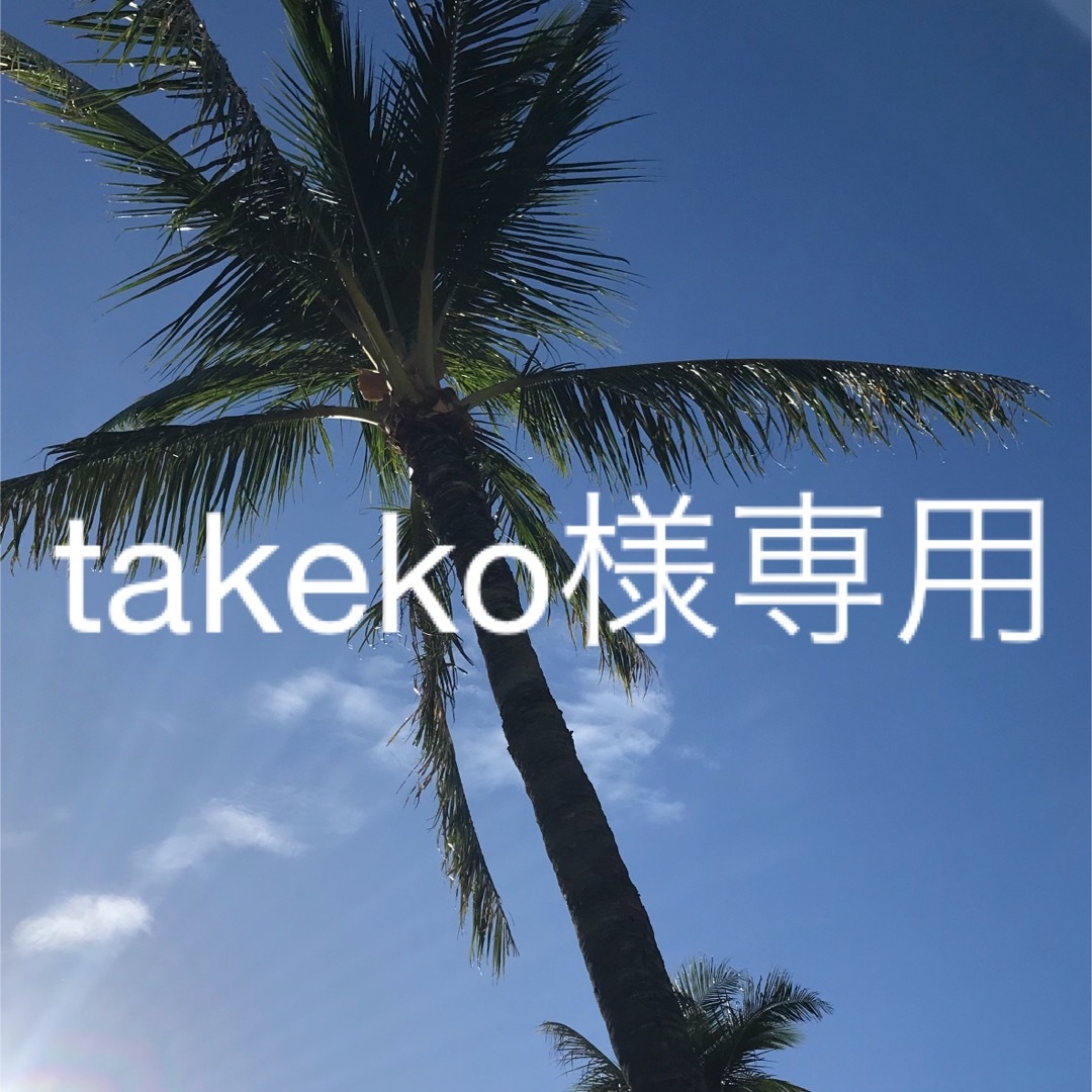 takeko様専用 コスメ/美容のスキンケア/基礎化粧品(フェイスクリーム)の商品写真