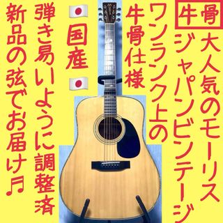 モーリス(MORRIS)の【国産★牛骨☆縦ロゴ】MORRIS！W-40【弾き易く調整☆新品弦】(アコースティックギター)