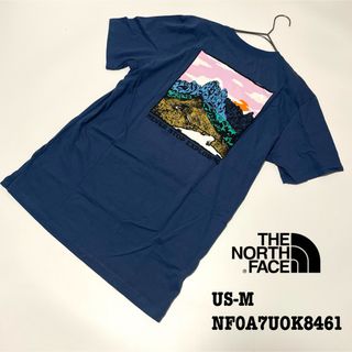 THE NORTH FACE - 【新品】US-M ノースフェイス Tシャツ 半袖 グラフィック プリント 登山