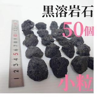 【希少】黒溶岩石 50個 【小粒】☆アクアリウム、テラリウム、コケリウムに最適(アクアリウム)