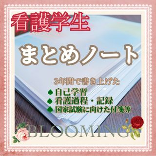 看護　まとめノート　看護実習　看護師　国家試験(健康/医学)