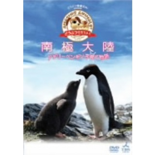 「どうぶつ奇想天外！」ｐｒｅｓｅｎｔｓ　南極大陸・アデリーペンギン子育て物語(趣味/実用)