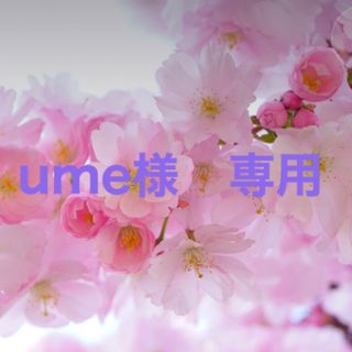 アルソア(ARSOA)の【　ume 様　専用　】(化粧水/ローション)